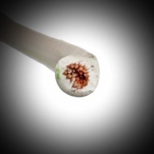 MTS DE CABLE TBS EVA 1.5 M/M BLANCO